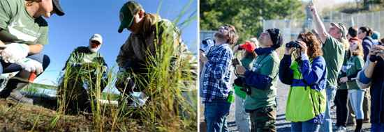 Left: Onondaga Community College students Melanie Tracy (left) and Kourtnie Clark, both of Syracuse, learn from habitat expert Joe McMullen (center) about wetland plant species.  Right: Conservation Corps volunteers identify bird species from the Onondaga Lake shoreline.