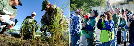 01 Left: Onondaga Community College students Melanie Tracy (left) and Kourtnie Clark, both of Syracuse, learn from habitat expert Joe McMullen (center) about wetland plant species. Right: Conservation Corps volunteers identify bird species from the Onondaga Lake shoreline.