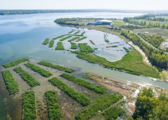 Habitat restoration is playing a significant role in creating a sustainable ecosystem in and around Onondaga Lake.