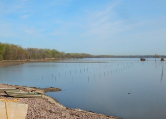 Workers install fence posts for enclosures that will protect plantings in the lake.