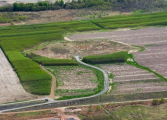 SUNY-ESF and Honeywell have worked together on the sustainable Shrub Willow Farm project since 2004. Several plots were harvested over winter.