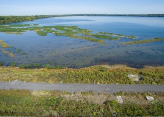 New Onondaga Lake wetlands near the mouth of Nine Mile Creek are now planted with 150,000 native plants.