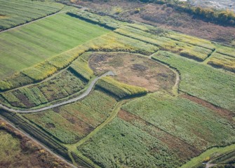 Plots show the successional harvesting of shrub willow fields. Shrub willows have a rapid growth rate and produce a high yield.