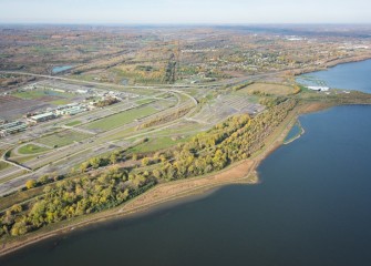 Approximately 70,000 native plants are being planted along the Western Shoreline to improve habitat.