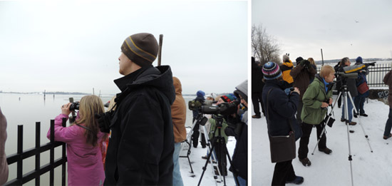 Left: Sammie and Mark Bremer, of Manlius, New York, use binoculars to spot birds. Several Bald Eagles were spotted along the shoreline. Right: Sue Fillinger, of Pompey, New York, uses a scope to identify a Great Black-backed Gull.