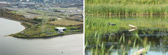 Left: Wetlands along Onondaga Lake’s western shoreline have been restored. In 2015, Onondaga County opened the Lakeview Amphitheater, an outdoor concert venue located on the shore of Onondaga Lake.  Right: A Great Blue Heron catches a fish in the restored Geddes Brook wetlands.