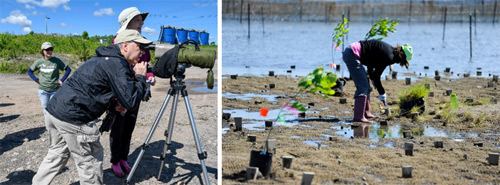 Left: Onondaga Audubon Board Member Paul Richardson helps Onondaga Lake Conservation Corps Advisory Board Member Carol Biesemeyer identify bird species using a scope. Right: First-time Corps volunteer Ellen DuPree, of Fayetteville, New York, installs wetland plants.