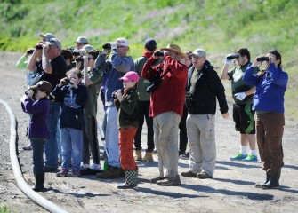 A group heads out to record bird species in the area. With guidance from Onondaga Audubon Society, Corps volunteers identified 29 unique bird species. Many notable species were sighted including Chimney Swift, Veery, and Osprey.