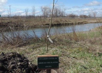 The Association chose the location for the commemorative tree for its proximity to restored wetlands at Nine Mile Creek. The Nine Mile Creek cleanup was completed in 2014.