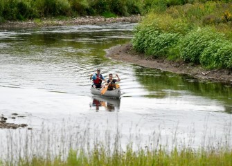 Honeywell’s restoration of Nine Mile Creek also included enhancing stream conditions for fish spawning and migration. To date, 21 fish species have been documented in Nine Mile Creek since completion of the work.