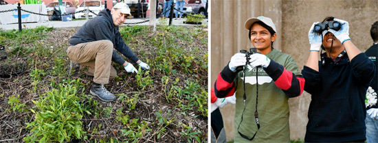 Left: Alex Thor, of Syracuse, plants native species near the Onondaga Creekwalk. Right: Julie Kunnumpurath and Philip Guinto, members of the Binghamton University chapter of Alpha Phi Omega, a national coeducational service organization, identify bird species.