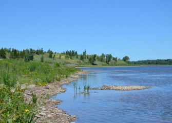 A variety of native plants enhances shoreline areas near Lakeview Point (background).