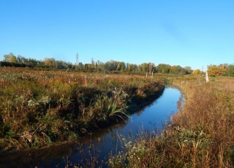 Geddes Brook during low flow. During high water, the redesigned channel overflows to fill adjacent areas.