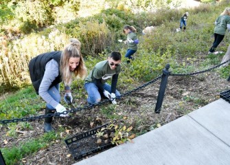 Plants such as wild bergamot, purple coneflower and false sunflower will beautify areas along the Creekwalk when in bloom.