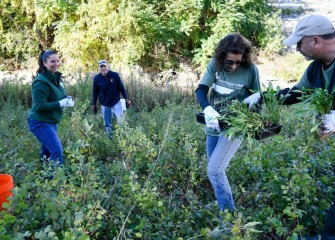 Approximately 600 pollinator-friendly plants were added near Onondaga Creek. The plants will support bees, butterflies, hummingbirds and other pollinators, which are important to plant reproduction.