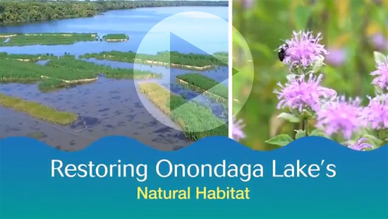 <a href="https://www.youtube.com/watch?v=MCNQRDAoWfg" target="_blank">Watch a video to learn about habitat restored as a part of the Onondaga Lake cleanup.</a>