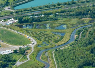 More than 170 species of fish, birds, and other wildlife have been recorded at the restored Geddes Brook wetlands.