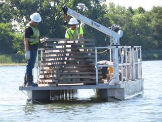 Sixty-two porcupine cribs have been installed in Onondaga Lake. A porcupine crib is a fish habitat structure that provides shelter and feeding opportunities for small fish. 