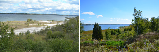 As part of the Onondaga Lake cleanup, Honeywell has restored about 90 acres of wetlands, and about 1.1 million native plants are being planted. The restored wetlands have become home to more than 250 wildlife species.   Onondaga Lake western shoreline before (left) and after (right) the cleanup. 