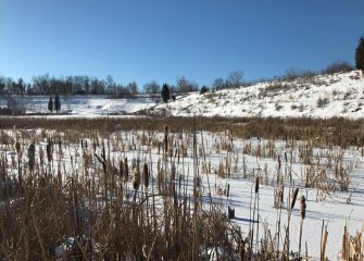 The wetlands are frozen yet beautiful during the coldest part of winter.