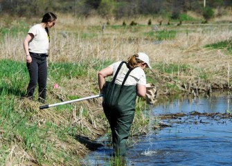 Candace Schermerhorn  (right) of the Young Naturalists Leadership Team uses a D-frame dip net to search for organisms on the bottom while YNLT Project Coordinator Shannon Fabiani looks for amphibians and other species along the water’s edge.