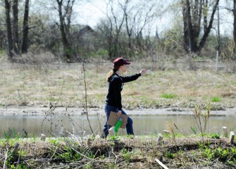 Volunteers log plant and animal species in the newly restored wetlands at Geddes Brook, and at the western and southwest shorelines of Onondaga Lake.