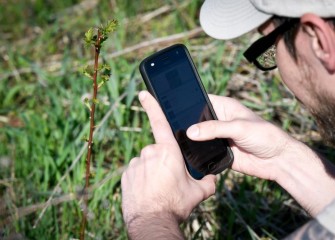 Citizen science volunteers use iNaturalist, a nature app, to record species.