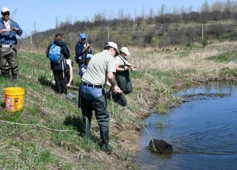 Mark Arrigo, Corps volunteer and scientist with Parsons, reels in a minnow trap set earlier to catch small fish and other species.