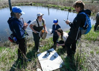 Macroinvertebrates include worms, insect larvae, crayfish, snails, mollusks, and similar small organisms that are an essential part of an ecosystem’s food chain.