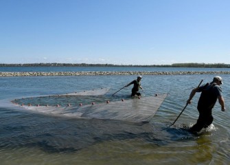 Two habitat experts use a seine net, moving parallel to the southwest shoreline, to capture fish and other creatures for identification.