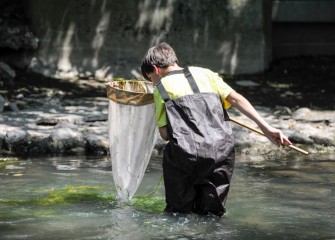 Ben Johnson, from Skaneateles Central School District, uses a fine mesh aquatic net to sample plants and invertebrates in Onondaga Creek.