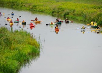 Nine Mile Creek and restored habitat along the creek have become home to more than 145 fish, bird and other wildlife species since completion of the creek restoration in 2014.