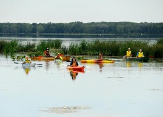 More than 18 acres of in-lake and shoreline wetlands were created near the mouth of Nine Mile Creek in 2016 as part of the Onondaga Lake cleanup.