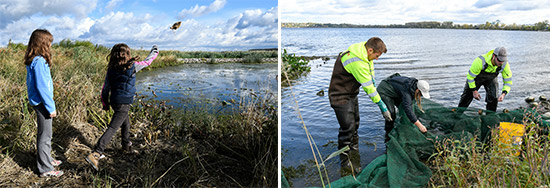 Left: Sisters Evie (left) and Autumn Keefe, of Syracuse, take turns tossing burlap seed bags containing pickerelweed seeds into the wetlands.  Right: YNLT member Candace Schermerhorn (center) removes fish from a seine net for closer observation with Matt McDonough (left) and Jim Molloy, of Parsons. Species found included banded killifish, emerald shiner, and rock bass.