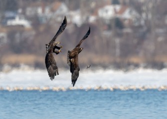 "I Don't Want It"Photo by Gregory A. Craybas