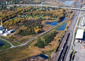 LCP wetlands continue to thrive five years later