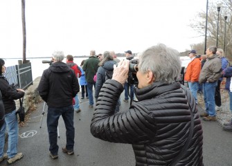 Improvements at Onondaga Lake and nearby tributaries are providing restored habitat for fish, birds, invertebrates and plants.