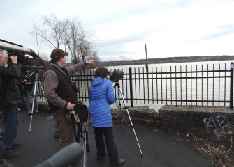 More than 120 unique bird species have now been identified in and around Onondaga Lake, a priority Audubon Important Bird Area.