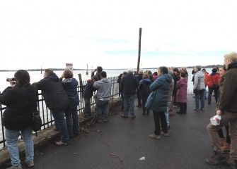 Participants were able to see a Bald Eagle and many migrating waterfowl on the lake after the recent ice thaw.