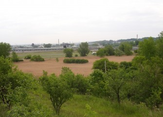 Geddes Brook eastern floodplain