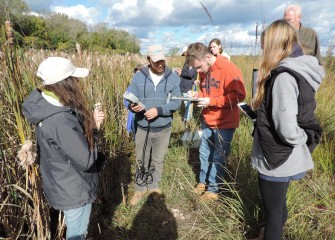 Volunteers use water testing equipment to measure temperature, conductivity, dissolved oxygen and turbidity. Species found in the wetlands are recorded using the app iNaturalist.