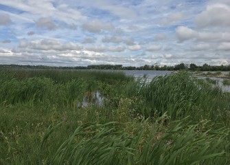 Implementation of the Onondaga Lake Habitat Restoration Plan was completed in 2017.