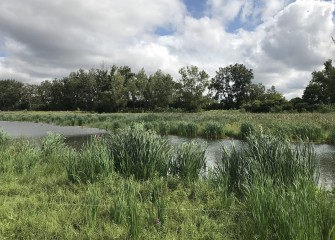 The Habitat Restoration Plan, released in 2010, described  a comprehensive approach to Onondaga Lake’s revitalization.