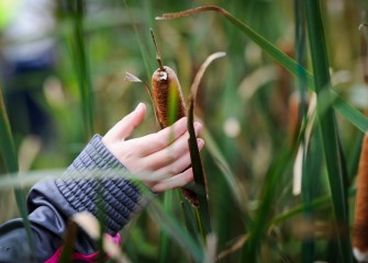 Autumn Keefe observes the texture and other characteristics of a cattail seed pod during the scavenger hunt.