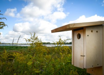 Bird boxes offer bird species a better chance to survive and thrive, reducing declines in population and restoring species to places they once inhabited. When birds nest in the structures, they have the best likelihood of raising their young successfully.