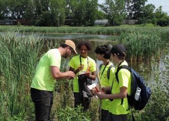 Jim Molloy, associate scientist at Parsons, shows (left to right) Anthony Williams, Suhaib Fakhr and Gabriel Rohlin how to tell the difference between sedges and rushes.