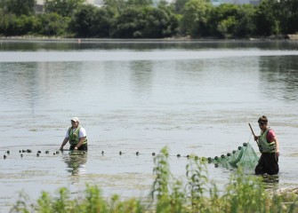 SUNY Environmental College of Science and Forestry graduate students Michaela Kenward and Joe Sullivan deploy a seine net to capture fish for observation.