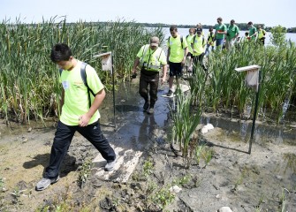 On Honeywell Day, students tour wetlands created as part of the Onondaga Lake cleanup.